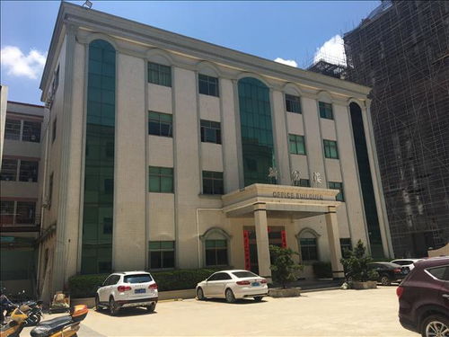 岳陽市房屋改造安全檢測鑒定報告辦理勞務服務指南